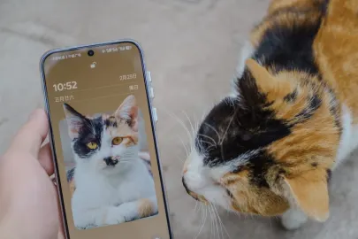 Vesper Casino Mobil App